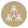 Business formation services